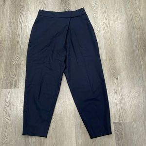 Babaton dress pants